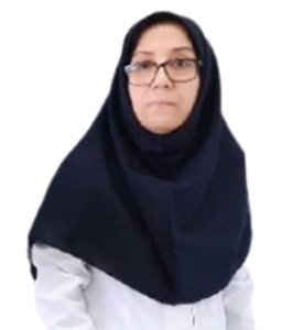 Dr. Mina Seifzadeh 2026